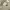 https://res.cloudinary.com/billionhands/image/upload/v1775301961/items/ub0sb7rdlt6gbizv0bdb.jpg-3cover