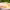 https://res.cloudinary.com/billionhands/image/upload/v1775302371/items/xy756oxqfbcrsqudkjcd.jpg-3cover