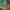 https://res.cloudinary.com/billionhands/image/upload/v1775302653/items/rcfvkrhrnwbg3znjpjts.jpg-1cover