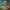 https://res.cloudinary.com/billionhands/image/upload/v1775302654/items/wrq9moeo2rbtnhohk7ua.jpg-2cover