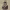 https://res.cloudinary.com/billionhands/image/upload/v1775302675/items/utpdoyx5wwbfhbbze0sd.jpg-2cover