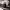 https://res.cloudinary.com/billionhands/image/upload/v1775303516/items/ru47oqm5piqv9ogrsdtc.webp-2cover