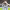 https://res.cloudinary.com/billionhands/image/upload/v1775303824/items/fvr3hybvcp4tnzoeglxv.jpg-3cover