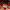 https://res.cloudinary.com/billionhands/image/upload/v1775304231/items/dpmsgjtiu0cvoztmyez6.webp-2cover