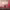 https://res.cloudinary.com/billionhands/image/upload/v1775304231/items/ttk0jofrp2w4fq35iwph.webp-2cover