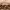 https://res.cloudinary.com/billionhands/image/upload/v1775304502/items/oz6fu2uwhaukcznkpqcx.jpg-3cover