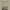https://res.cloudinary.com/billionhands/image/upload/v1775304756/items/we7fncn1vzd5syqpqx64.jpg-2cover