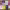 https://res.cloudinary.com/billionhands/image/upload/v1775304758/items/i7qesdv7gwhslltf0d6c.avif-1cover