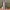 https://res.cloudinary.com/billionhands/image/upload/v1775304761/items/hlcuoxs0xnjaqzqqpdvd.avif-3cover