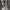 https://res.cloudinary.com/billionhands/image/upload/v1775308895/items/vguqtoyxtwjfulardjuw.webp-3cover
