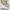 https://res.cloudinary.com/billionhands/image/upload/v1775311494/items/dbpfxkxuzpyx1iu6fcsu.png-1cover