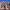 Guided Tours by the Valladolid City Council (Valladolid, Valladolid) cover