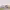 https://res.cloudinary.com/billionhands/image/upload/v1775314745/items/edgtcc2i2xejjrqxg591.avif-0cover