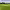 https://res.cloudinary.com/billionhands/image/upload/v1775314850/items/zwjrjcespyyvdvf2szcm.jpg-3cover