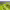 https://res.cloudinary.com/billionhands/image/upload/v1775314851/items/lz5heb8s0ij50n22ey5u.webp-0cover