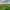 Green Bay Country Club (Green Bay, Brown County) cover
