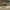 https://res.cloudinary.com/billionhands/image/upload/v1775314859/items/ikxixjc8ccmdxt4hdcjt.webp-1cover