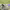 https://res.cloudinary.com/billionhands/image/upload/v1775314933/items/oegoowmegc3kmeeuhvgr.png-1cover