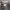 https://res.cloudinary.com/billionhands/image/upload/v1775314958/items/kfoyrgc4moj0mwx0cige.png-0cover