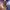 https://res.cloudinary.com/billionhands/image/upload/v1775314998/items/uipdtww254cj4dktnozk.jpg-2cover