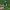 Kai Havertz contra el Manchester City (mayo de 2021) cover