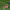 https://res.cloudinary.com/billionhands/image/upload/v1775315038/items/bqmj4qtkmbj1apksxksw.jpg-0cover