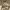 https://res.cloudinary.com/billionhands/image/upload/v1775315806/items/watvfq9lcrp2ljjkj1gr.png-3cover