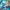 https://res.cloudinary.com/billionhands/image/upload/v1775315807/items/w4s8m7gsppv9lo0tmqxs.webp-3cover