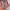 https://res.cloudinary.com/billionhands/image/upload/v1775315834/items/d02eak7cwndpebhvlrt2.webp-2cover