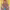 https://res.cloudinary.com/billionhands/image/upload/v1775315834/items/ms6sxfgx0mcc6v7bngtd.jpg-3cover