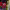 https://res.cloudinary.com/billionhands/image/upload/v1775315931/items/yoankfm1w3bqlzeyrrux.webp-3cover
