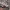 https://res.cloudinary.com/billionhands/image/upload/v1775316081/items/rllk2mddhedsjcapdbwf.jpg-2cover