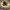 https://res.cloudinary.com/billionhands/image/upload/v1775317074/items/txarerlfbbu6vsj2ym2s.jpg-3cover