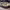 https://res.cloudinary.com/billionhands/image/upload/v1775317194/items/pvlvvewljzhhy60ty4fj.jpg-0cover