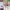 https://res.cloudinary.com/billionhands/image/upload/v1775317198/items/pdowyjtwscgfzw9fg524.jpg-3cover