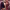 https://res.cloudinary.com/billionhands/image/upload/v1775317472/items/j3tbfuise7ajyffkmcbe.webp-2cover