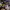 https://res.cloudinary.com/billionhands/image/upload/v1775317595/items/re1yt33ky02usxqmbvrv.jpg-3cover