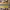 https://res.cloudinary.com/billionhands/image/upload/v1775317610/items/fxsurrxfzlrnu0s8q6og.jpg-2cover