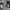 https://res.cloudinary.com/billionhands/image/upload/v1775317611/items/uh1uv4qbfi72gswqichv.jpg-3cover