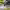 https://res.cloudinary.com/billionhands/image/upload/v1775317620/items/ln8qldwwieapgxou0gxk.jpg-3cover