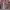 https://res.cloudinary.com/billionhands/image/upload/v1775317713/items/xah8dxdivzmdvewlnuuu.webp-0cover
