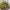 https://res.cloudinary.com/billionhands/image/upload/v1775317871/items/t5jrfskt8wgievxkxxtj.jpg-3cover