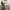 https://res.cloudinary.com/billionhands/image/upload/v1775317933/items/lzpaba31d4ftbassn4ad.jpg-2cover