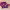 https://res.cloudinary.com/billionhands/image/upload/v1775317998/items/mlppdfcaukxwmidd9cuc.webp-3cover