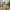 https://res.cloudinary.com/billionhands/image/upload/v1775317998/items/xlurrqapf08qcwvwhwnn.webp-1cover