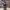 https://res.cloudinary.com/billionhands/image/upload/v1775318007/items/dvbim9rpk4msjlptxngv.webp-3cover