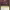 Edgar Markov (Commander) cover