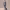 https://res.cloudinary.com/billionhands/image/upload/v1775318053/items/jhnc9gb5lzeooob3kpsp.webp-3cover