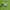 https://res.cloudinary.com/billionhands/image/upload/v1775318128/items/rc9hmwwhhjfpmrpkvsf6.jpg-0cover