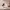https://res.cloudinary.com/billionhands/image/upload/v1775318158/items/putdqjlfjnef3wmmmuem.webp-3cover
